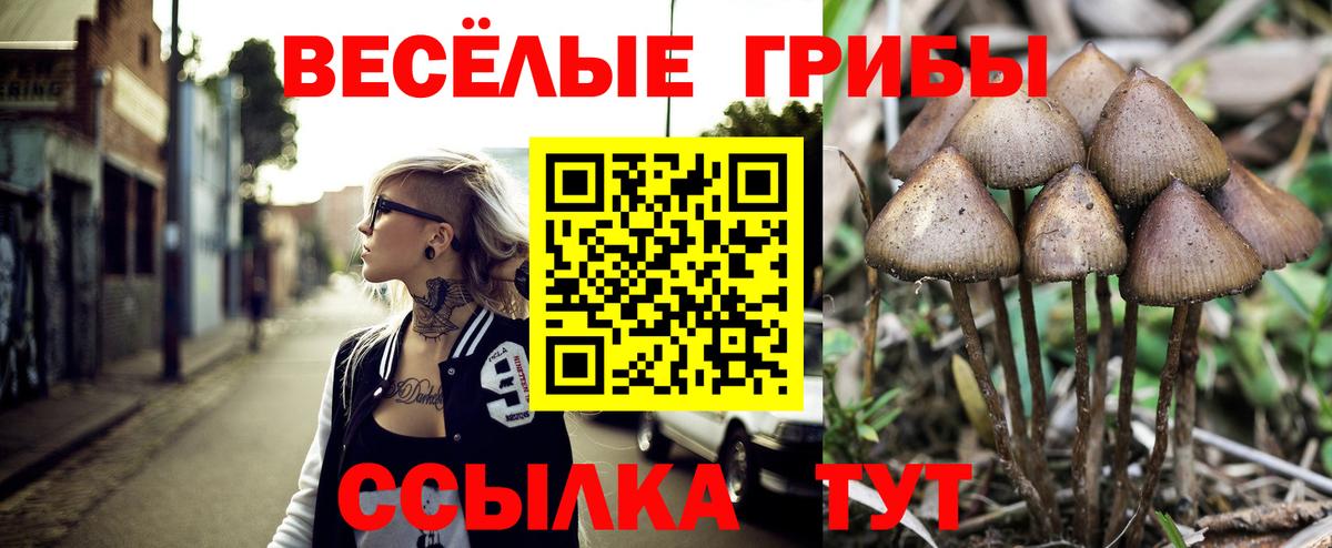  COCAIN Лабинск